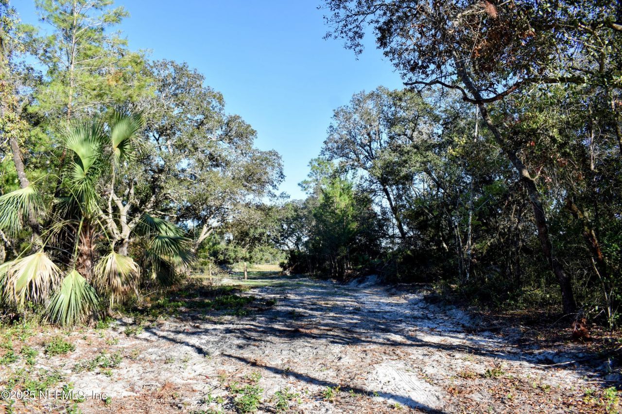 96 Bridle Drive, Interlachen, FL 32148 Photo