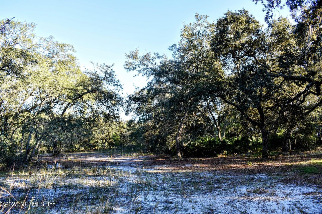 96 Bridle Drive, Interlachen, FL 32148 Photo