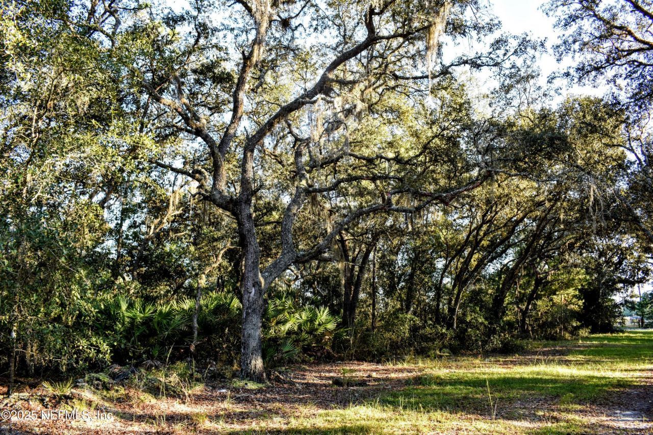 96 Bridle Drive, Interlachen, FL 32148 Photo