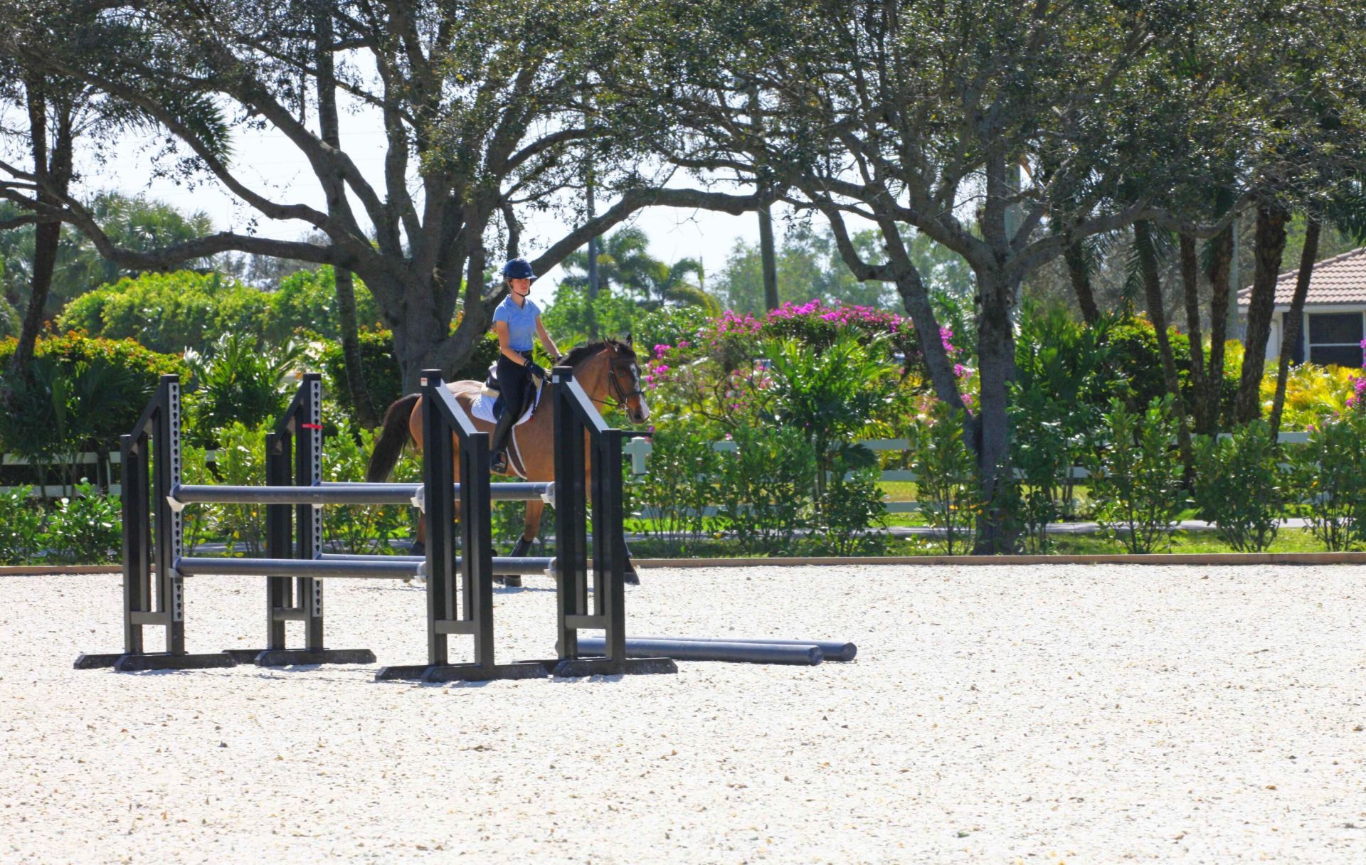 15293 Sunnyland Lane, Wellington, FL 33414 Photo