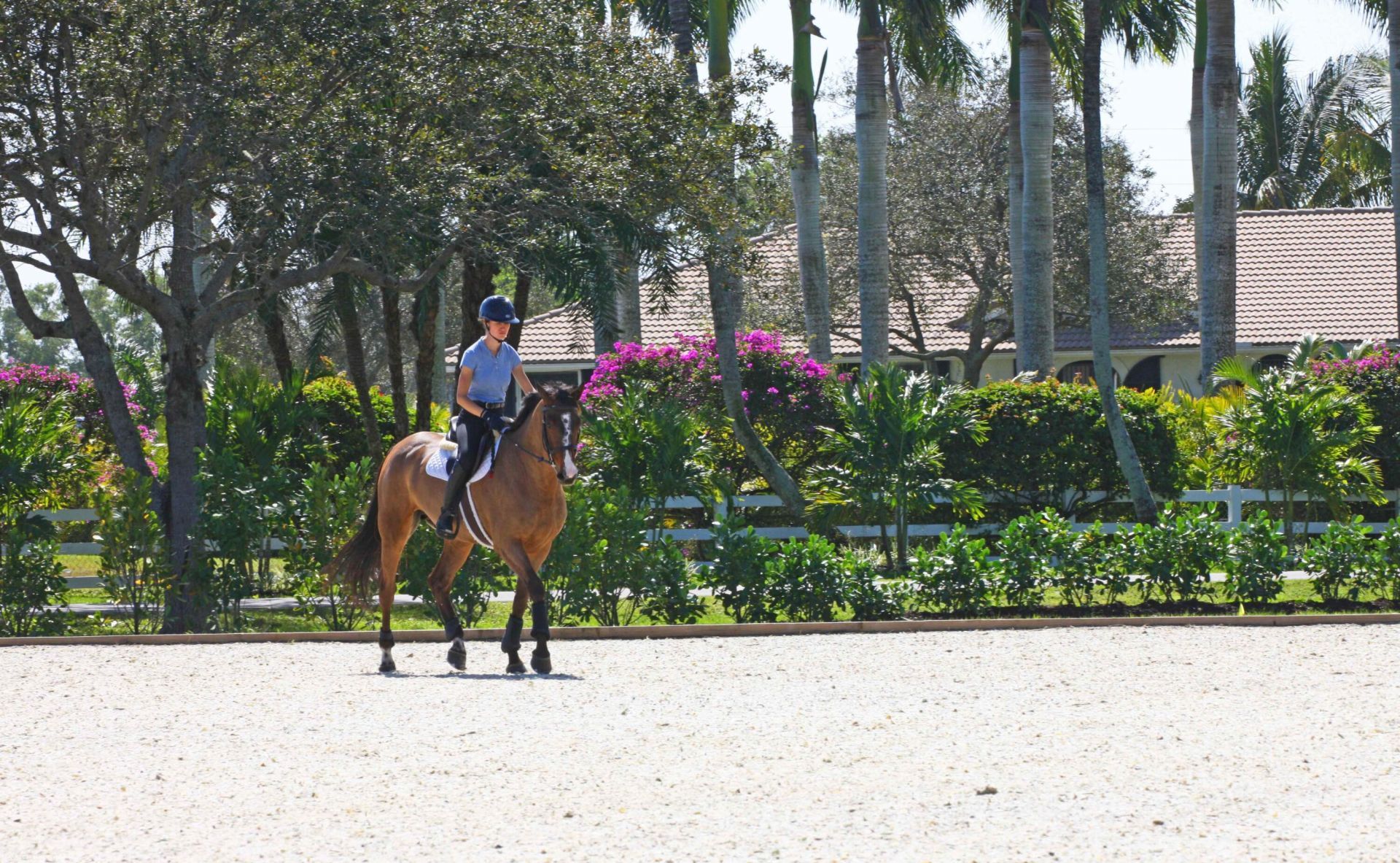 15293 Sunnyland Lane, Wellington, FL 33414 Photo