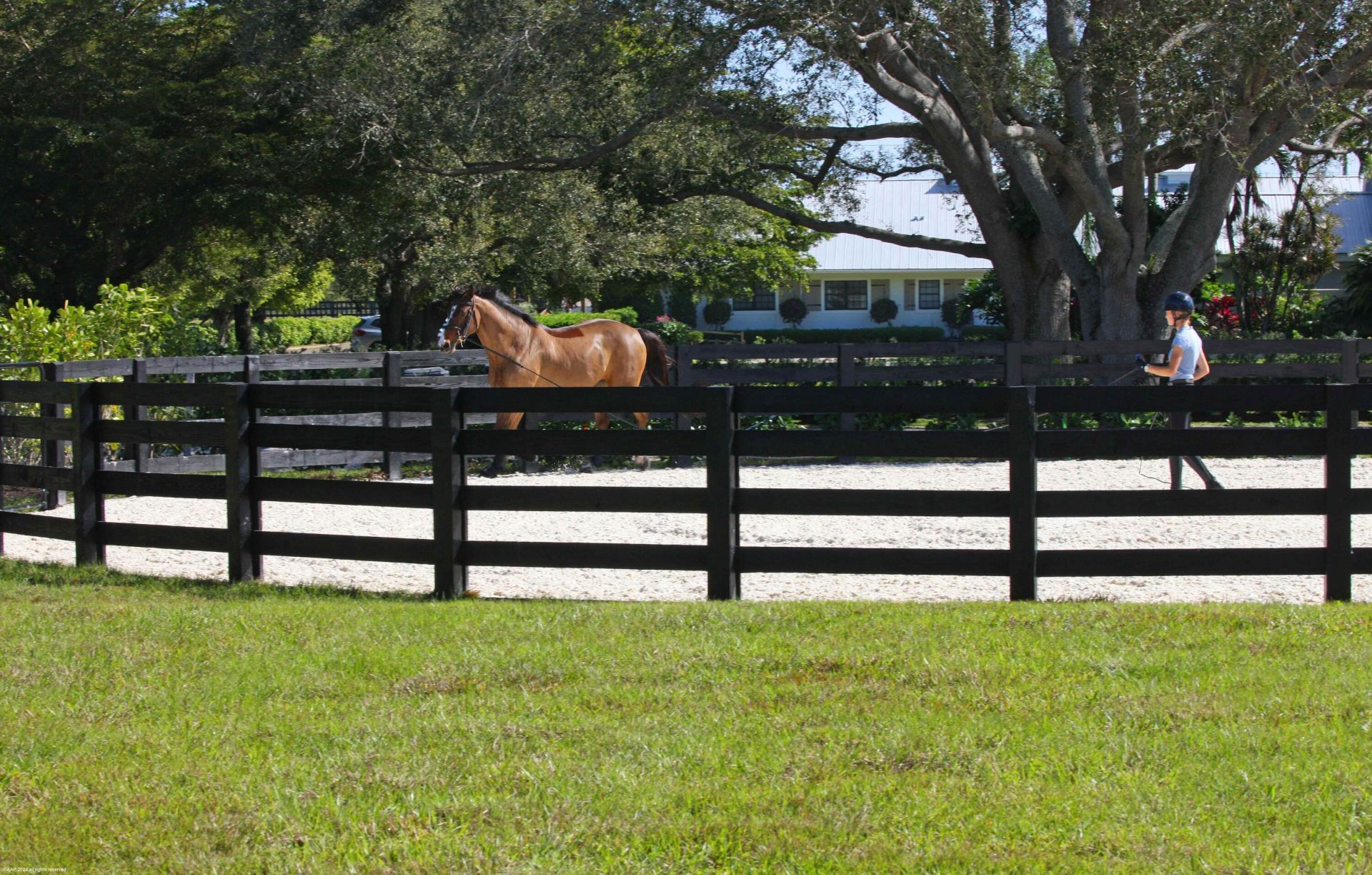 15293 Sunnyland Lane, Wellington, FL 33414 Photo