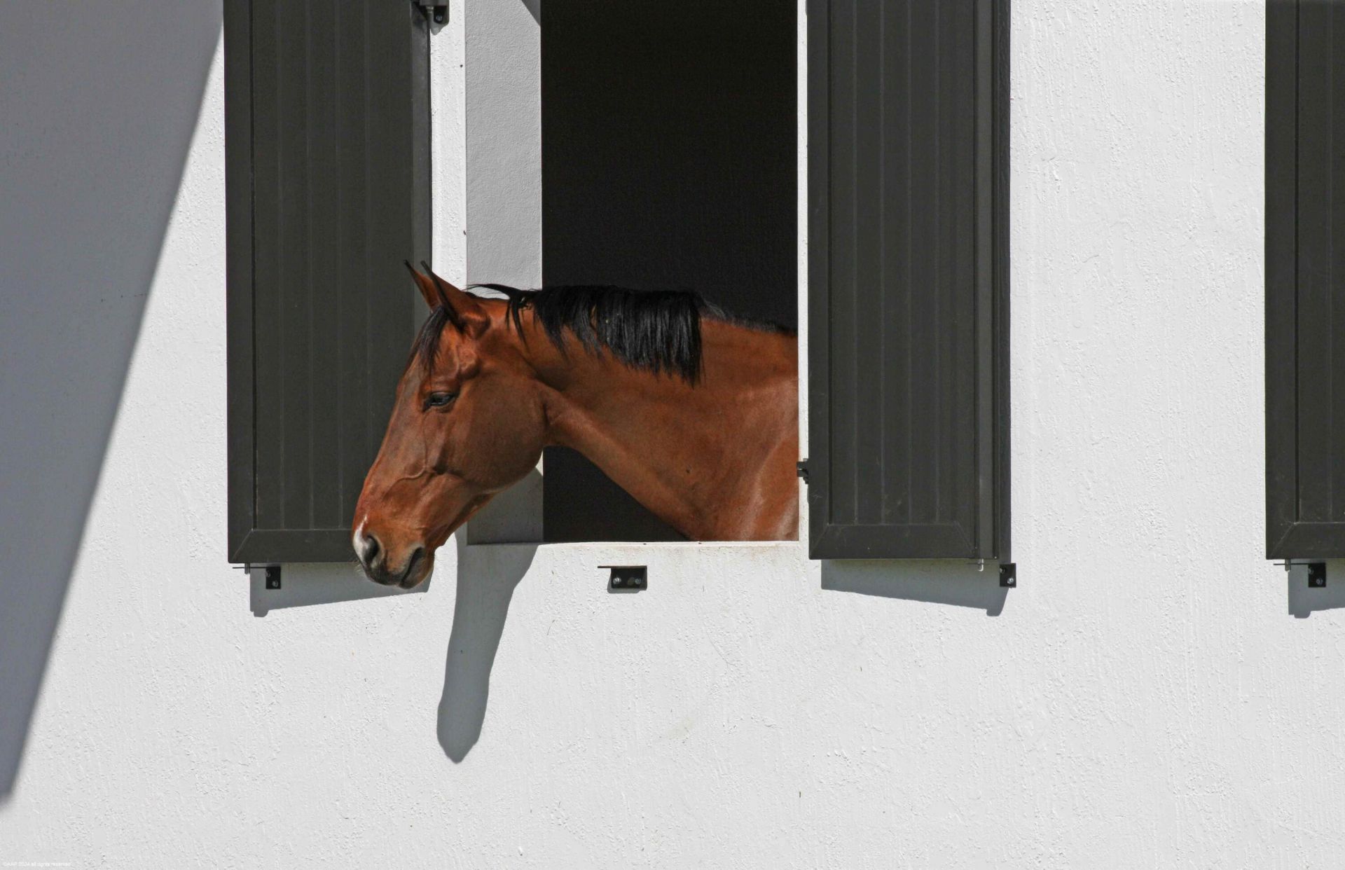 15293 Sunnyland Lane, Wellington, FL 33414 Photo