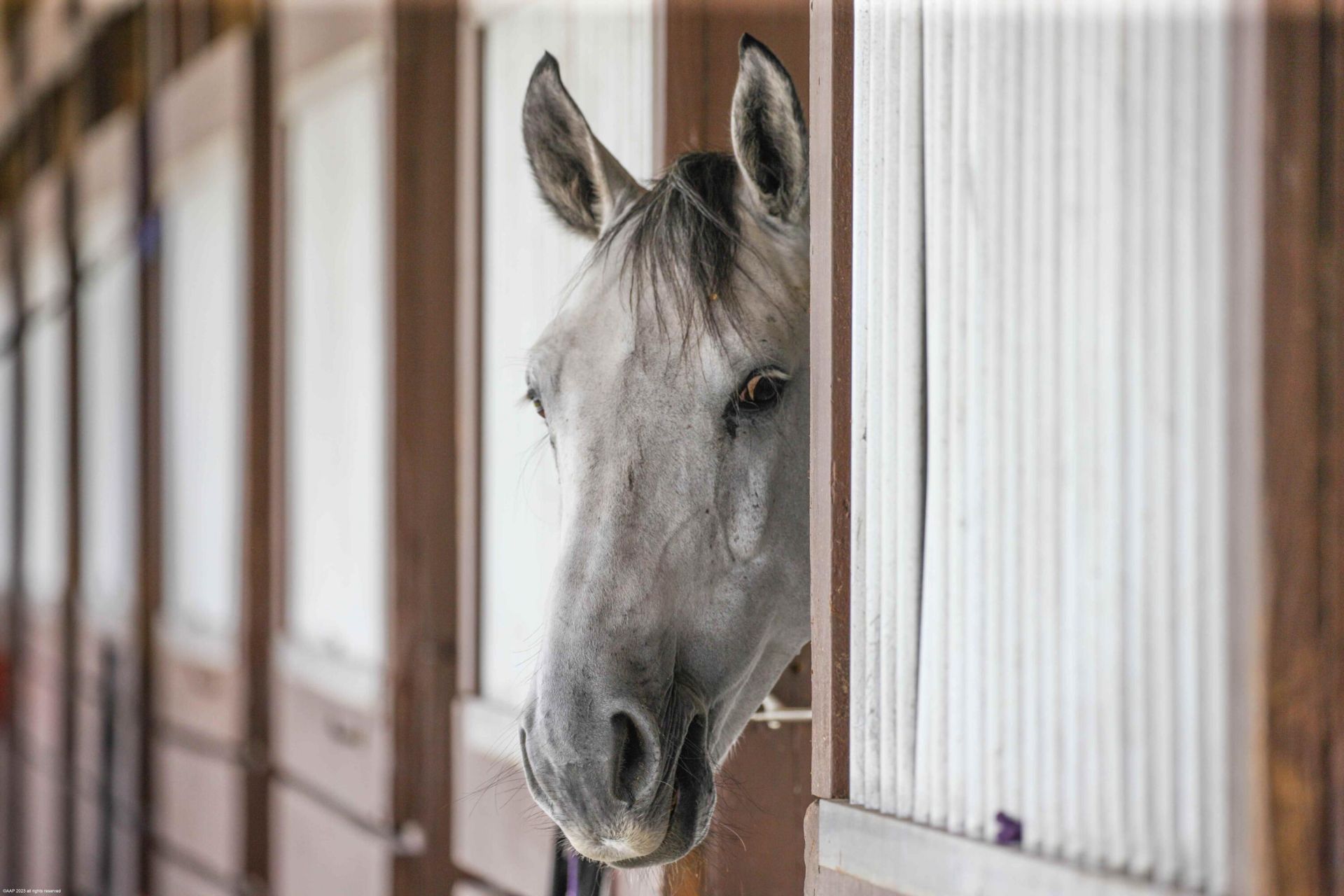 15860 46th Lane S, Wellington, FL 33414 Photo