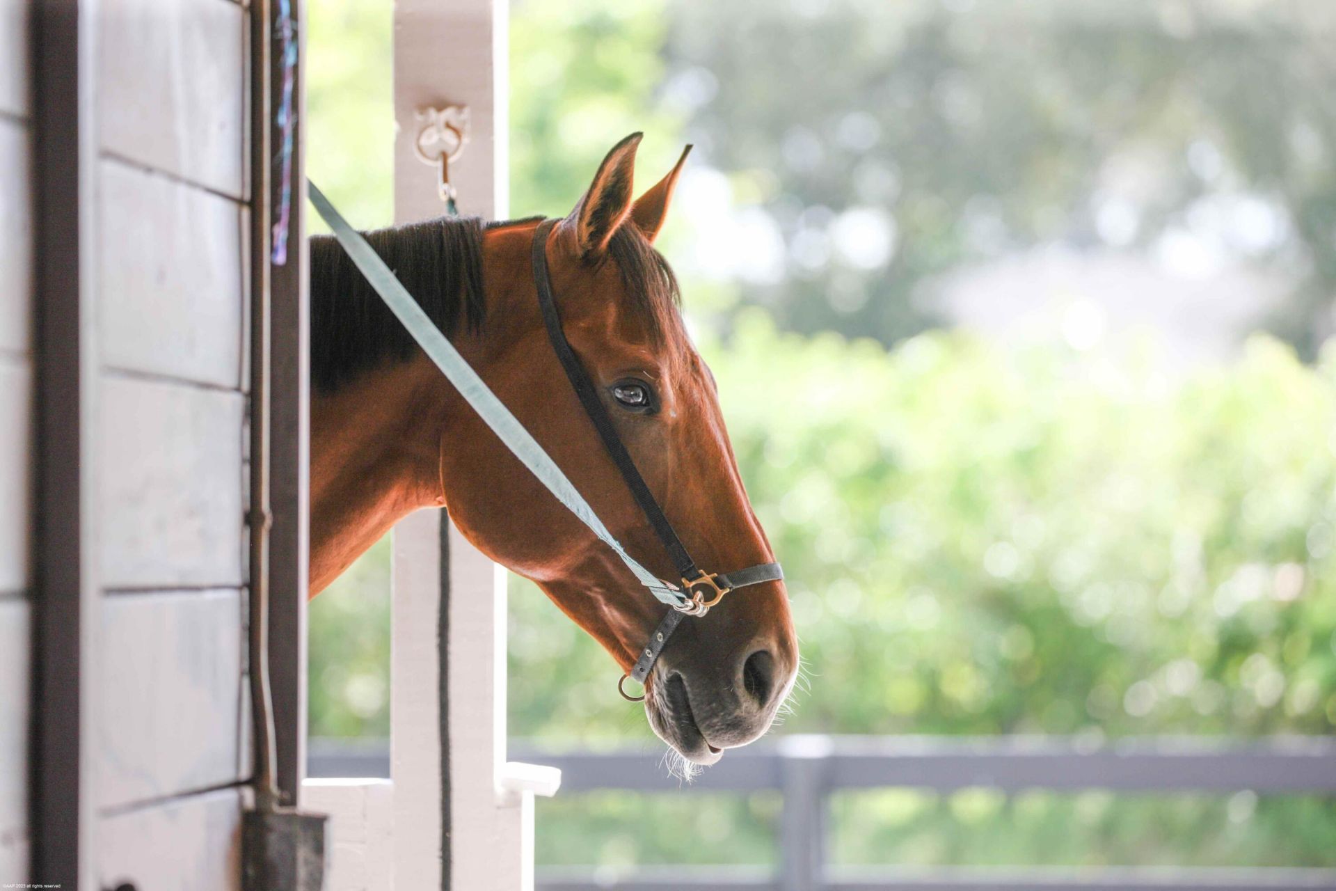 15860 46th Lane S, Wellington, FL 33414 Photo