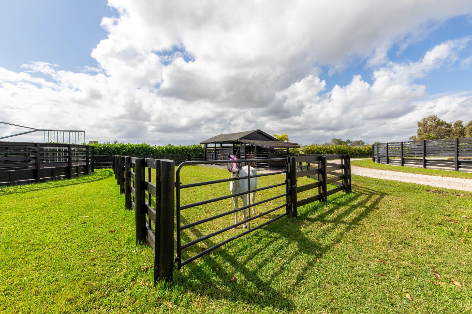 15860 46th Lane S, Wellington, FL 33414 Photo