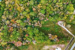 Tbd E Business 9 photo 4