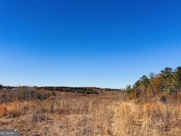 0 Jaye Road, Rupert, GA 31081