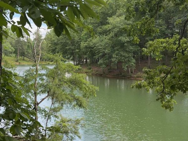 LOT 54 SHORESIDE DR, Double Springs, AL 35553