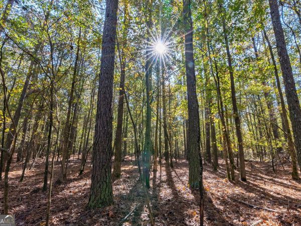 0 Wilson Lane, Arnoldsville, GA 30619