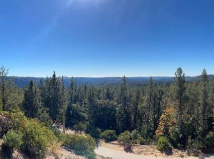31180 Knob Cone Rd, Gold Run, CA 95717 Photo