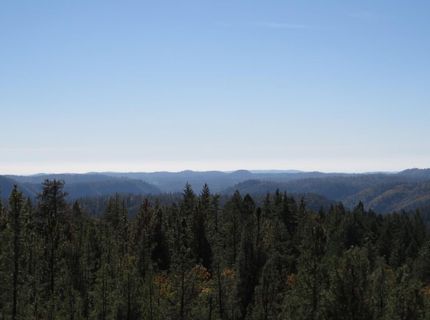 31180 Knob Cone Rd, Gold Run, CA 95717 Photo
