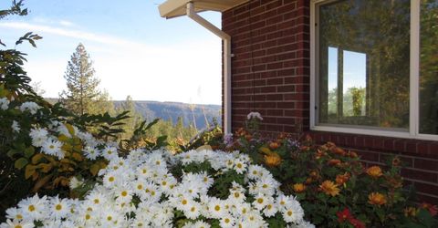 31180 Knob Cone Rd, Gold Run, CA 95717 Photo