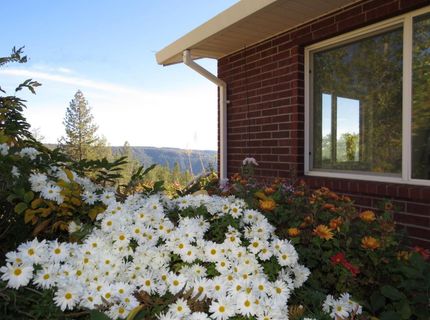 31180 Knob Cone Rd, Gold Run, CA 95717 Photo