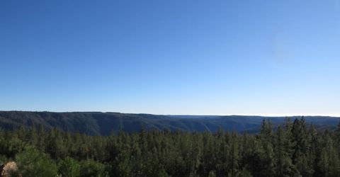 31180 Knob Cone Rd, Gold Run, CA 95717 Photo