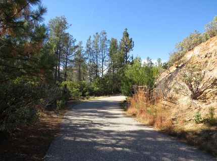 31180 Knob Cone Rd, Gold Run, CA 95717 Photo