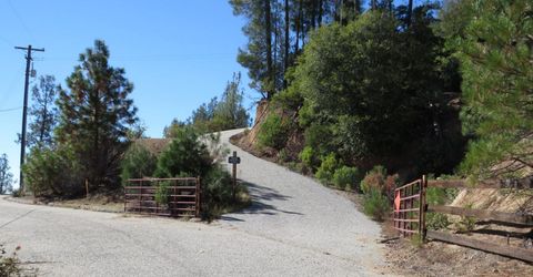 31180 Knob Cone Rd, Gold Run, CA 95717 Photo