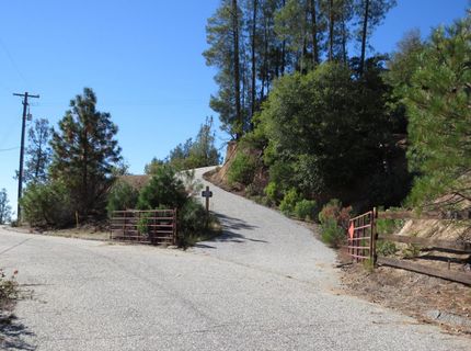 31180 Knob Cone Rd, Gold Run, CA 95717 Photo