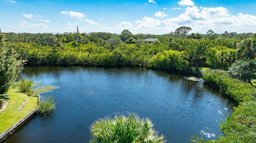 113 Cedar Dunes Drive, New Smyrna Beach, FL 32169 Photo