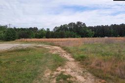 177 Thomas Griffin Road  photo 4