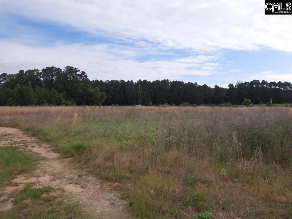 177 Thomas Griffin Road  Photo 4