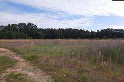 177 Thomas Griffin Road  photo 4