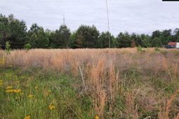 177 Thomas Griffin Road  photo 4