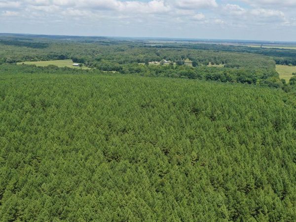 0 Goat Neck Road, Bradford, AR 72020