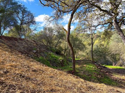 Lorrain St, Shingle Springs, CA 95682 Photo