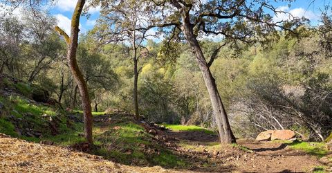 Lorrain St, Shingle Springs, CA 95682 Photo