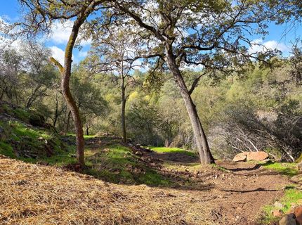 Lorrain St, Shingle Springs, CA 95682 Photo