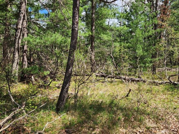 8950 S Chatman Street, Idlewild, MI 49642