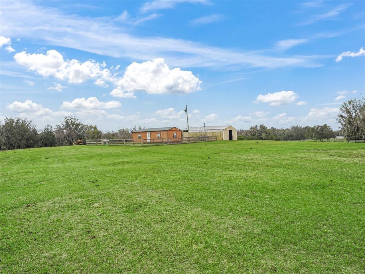 6994 NW 320 Highway, Micanopy, FL 32667 Photo