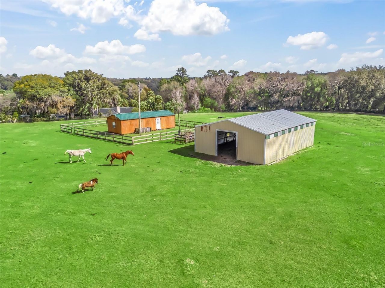 6994 NW 320 Highway, Micanopy, FL 32667 Photo