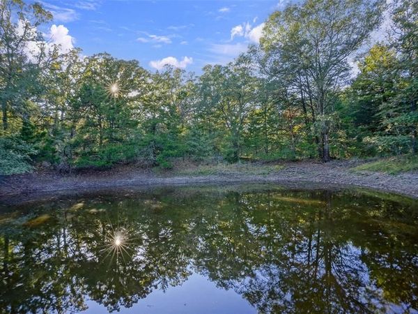 45 Acres County Road 930, Teague, TX 75860