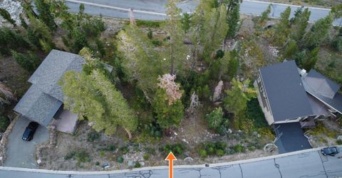 Palisades Dr, Kirkwood, CA 95646 Photo