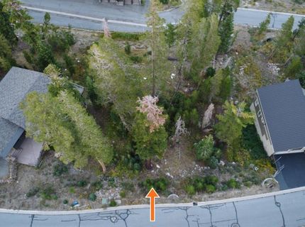 Palisades Dr, Kirkwood, CA 95646 Photo