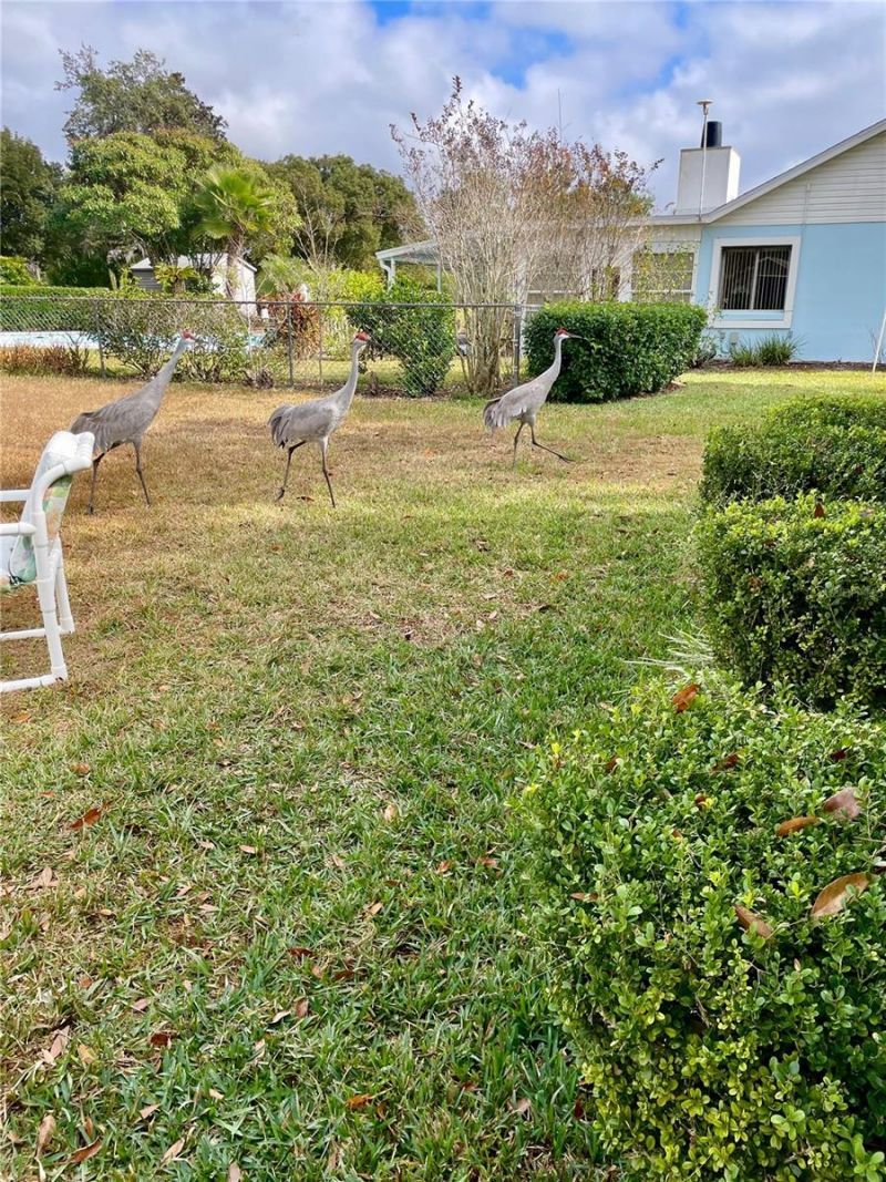 3401 Divot Road, Sebring, FL 33872 Photo