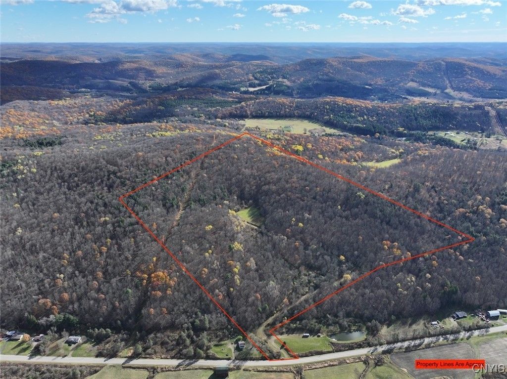 Haskell Road, Cuba, NY 14727 Main Photo