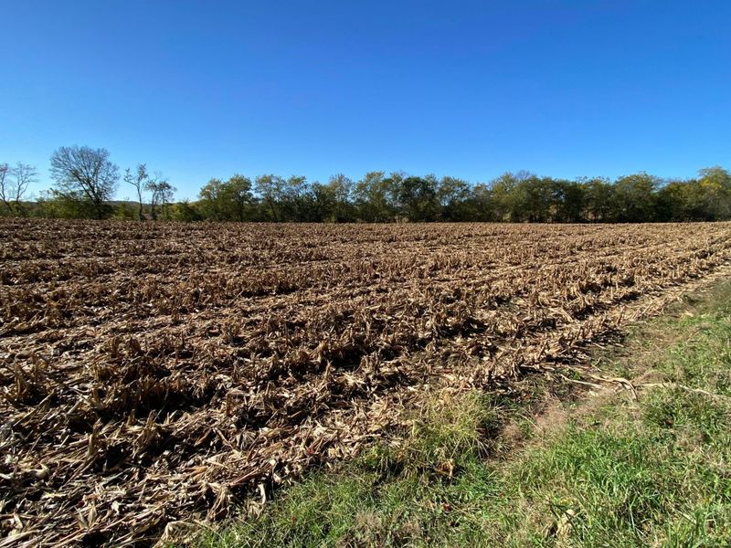 1862 Hallie Lane , Granville, OH 43023 Photo 2