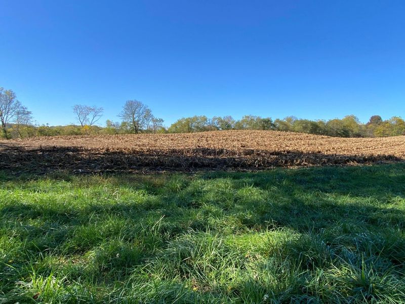 1862 Hallie Lane , Granville, OH 43023 Photo 4