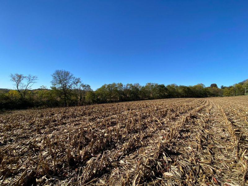 1862 Hallie Lane , Granville, OH 43023 Photo 6