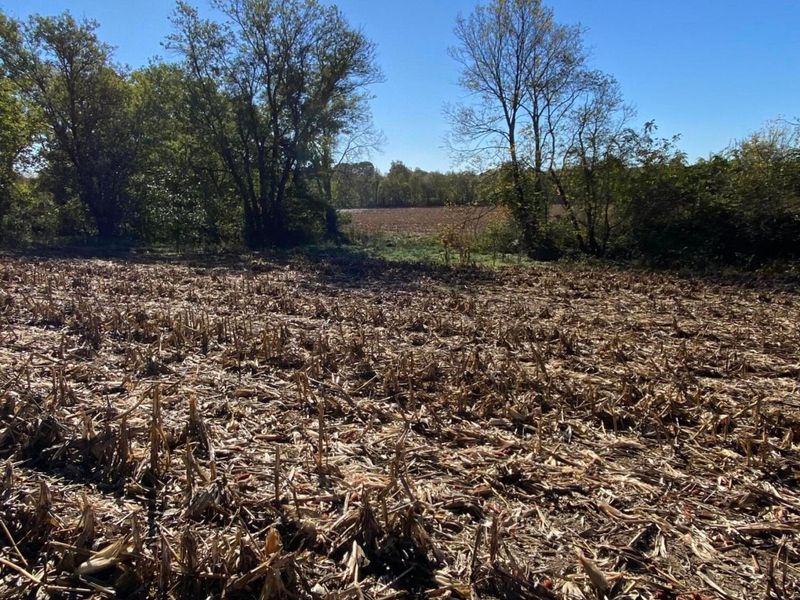 1862 Hallie Lane , Granville, OH 43023 Photo 7