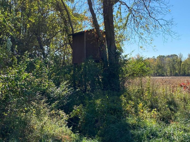 1862 Hallie Lane , Granville, OH 43023 Photo 8