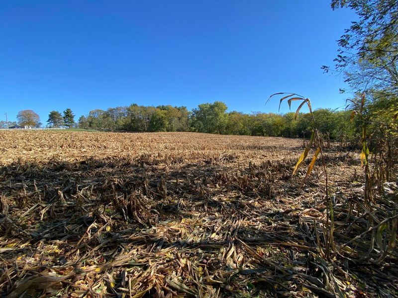 1764 Hallie Lane , Granville, OH 43023 Photo 3