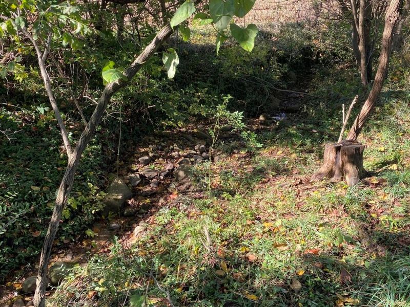 1764 Hallie Lane , Granville, OH 43023 Photo 4