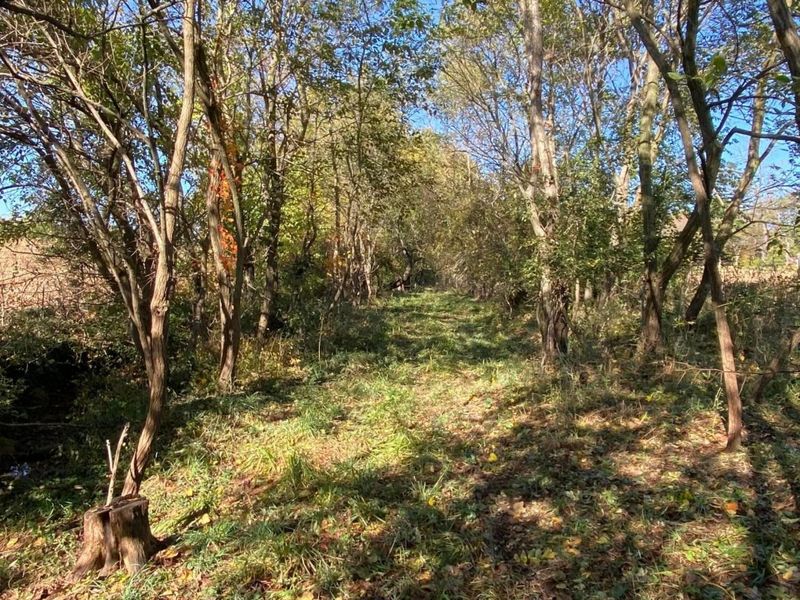 1764 Hallie Lane , Granville, OH 43023 Photo 5