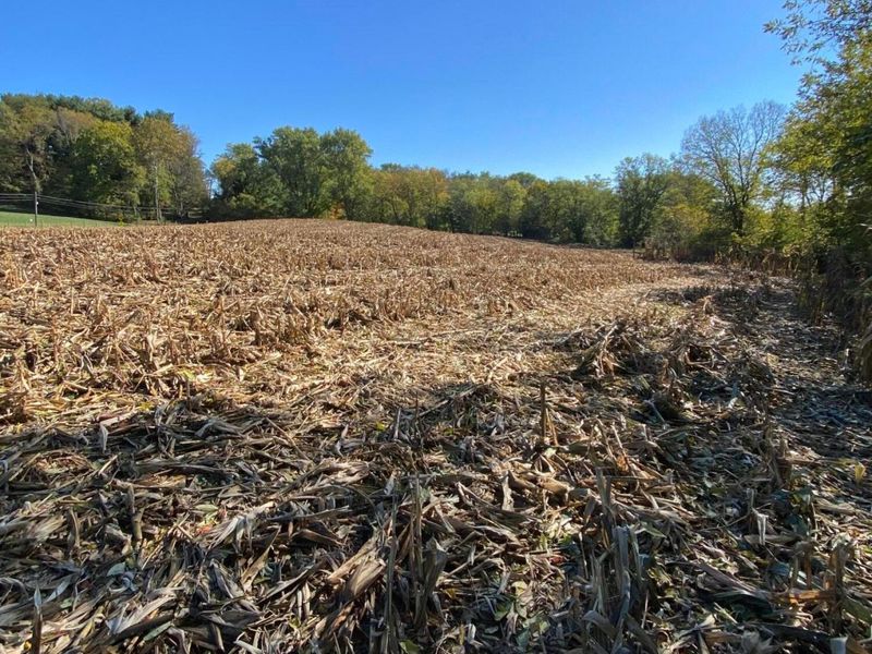 1764 Hallie Lane , Granville, OH 43023 Photo 6