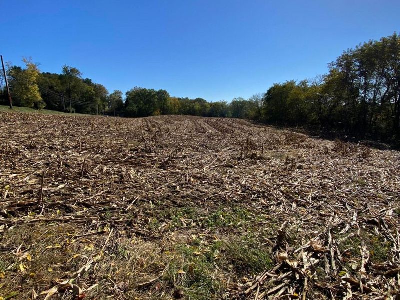 1764 Hallie Lane , Granville, OH 43023 Photo 8