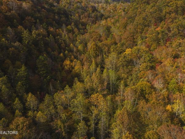 0 Livesay Chapel Rd, Kyles Ford, TN 37765